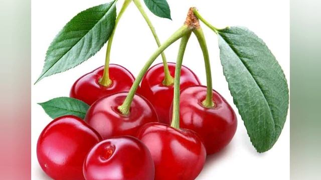 ВИШНЯ -дерево жизни! смотреть онлайн