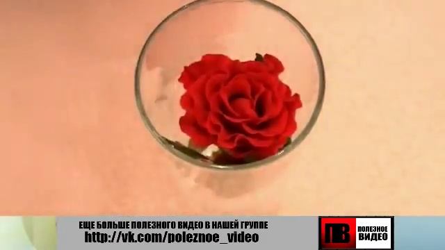 Как_сохранить_букет смотреть онлайн