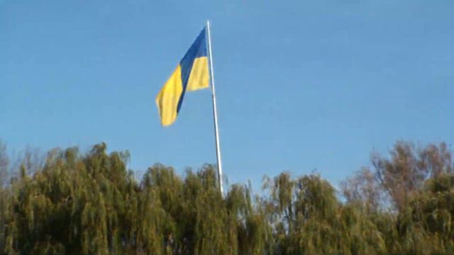 ГУЛИ  ГУЛИ!  НОВЫЙ  ГОЛУБЯТНИК РАСТЁТ. 09 . 11. 2022 г.