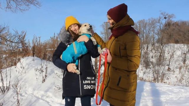 Приют Для Бездомных Животных "ТЕРЕМОК": Дени смотреть онлайн