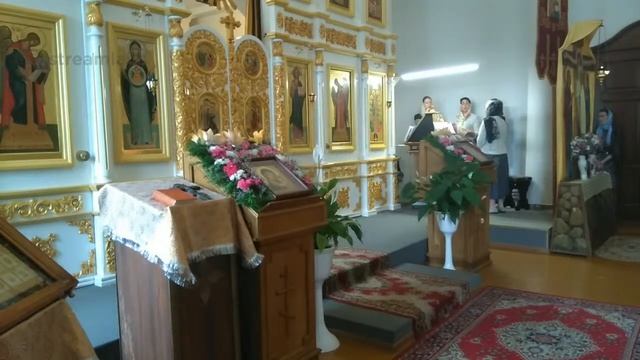 БОЖЕСТВЕННАЯ ЛИТУРГИЯ (СВЯТЫХ ПЕРВОВЕРХОВНЫХ АПОСТОЛОВ ПЕТРА И ПАВЛА) - 12 июля 2020г. смотреть онлайн