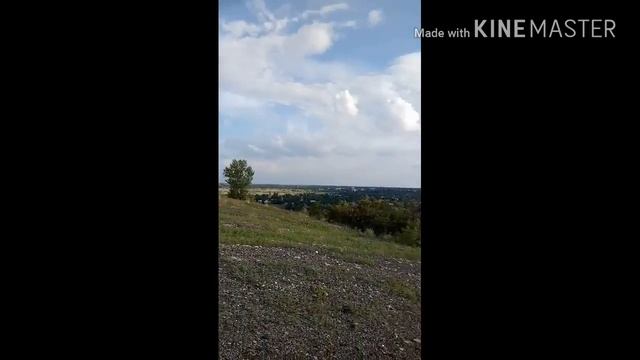Местная черепашка// прогулка по терекону// вид с терекона на наш город смотреть онлайн