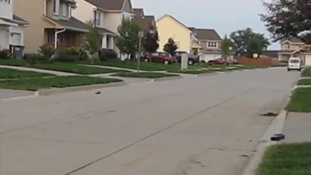 Lasercats racing experience смотреть онлайн