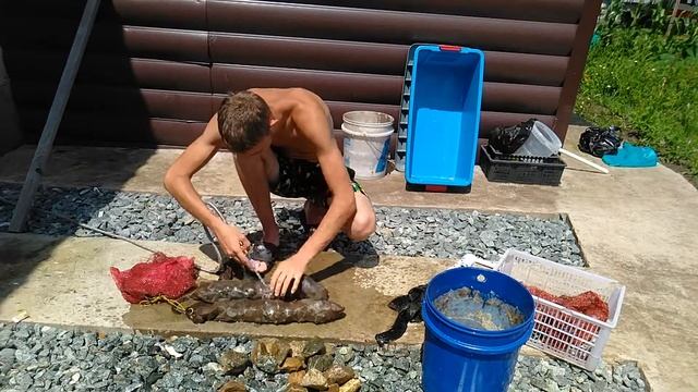 Фильтр для пруда.Чистка фильтра.Как сделать фильтр. смотреть онлайн