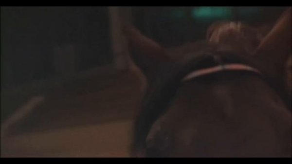 3Logic Group - Саляночка