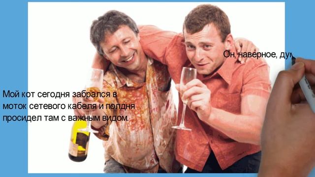 Анекдот от кота Миши про друзей 35 смотреть онлайн