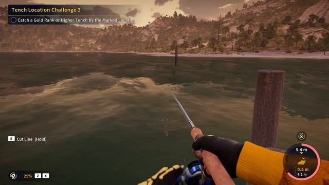 Call Of The Wild The Angler Spain,Gold Tench Location Gear Challenge 2 And 3, 30 Reputation Guide смотреть онлайн