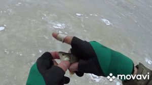 Зимняя блесна «ПУЛЯ», тест на водоеме. Зимние блесны своими руками