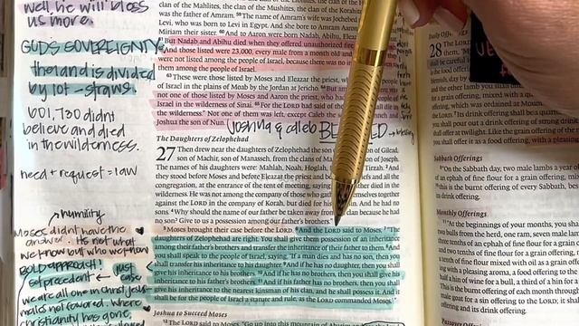 Study the Bible in One Year: Day 65 Numbers 26-27 | Bible study for beginners смотреть онлайн