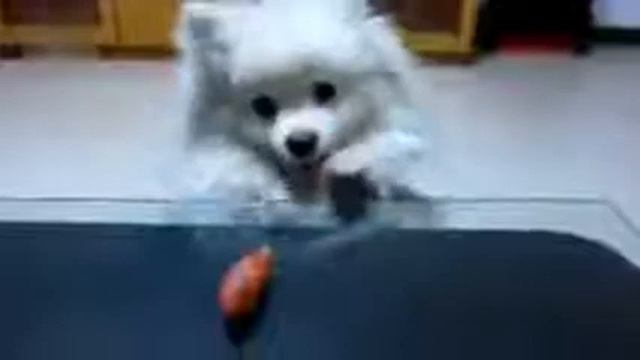 Малюк хоче дуже сильно сосиску смотреть онлайн
