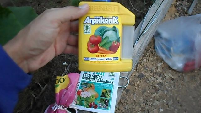 ЧЕМ ПОДКОРМИТЬ ОГУРЦЫ, СУПЕР ПОДКОРМКА ОГУРЦОВ ВО ВРЕМЯ ЦВЕТЕНИЯ ДЛЯ УВЕЛИЧЕНИЯ УРОЖАЯ смотреть онлайн