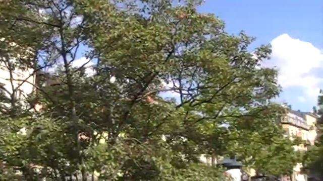 Trip to Baden Baden (The Black Forest) смотреть онлайн