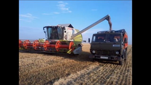 Ст Золотая Степь Саратовской обл смотреть онлайн