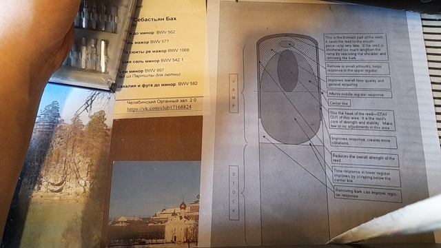Приветственный ролик прямиком из петровской мастерской смотреть онлайн