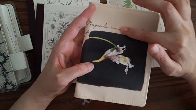 Hobonichi Spring 2023 Unboxing - Tomitaro Makino Release смотреть онлайн