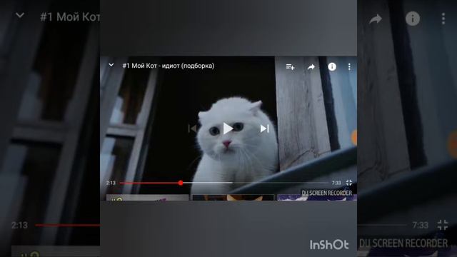 Смешные говорящие животные смотреть онлайн