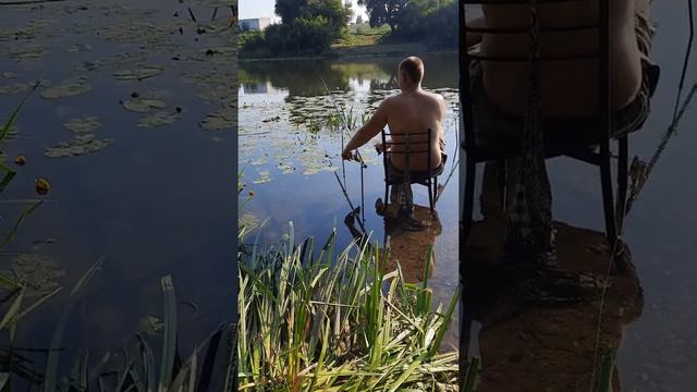 что делать ? если на рыбалке забыли туалетную бумагу смотреть онлайн
