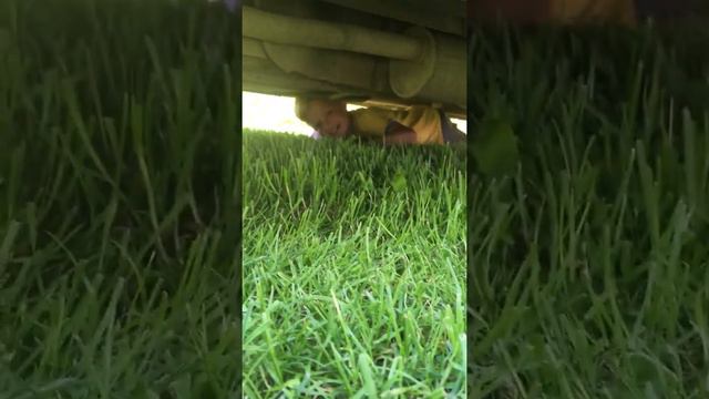 Після пісні фейса бузової і киркорова😂 смотреть онлайн