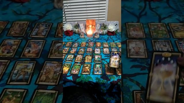 ??Blessings To The Betrayed????, December 8, 2020, Tarot Reading смотреть онлайн