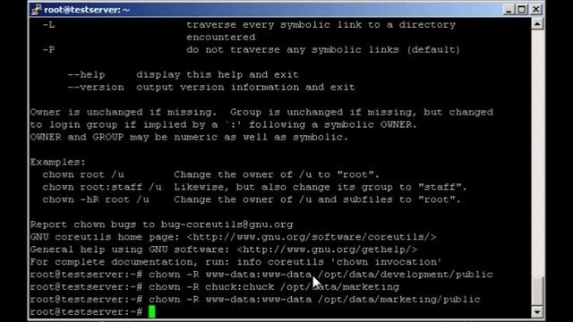 Unix File Permissions and Ownership(CHOWN, CHMOD, ETC) смотреть онлайн