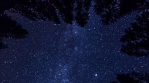 Звуки Ночной Природы, Звуки Цикад для сна и отдыха