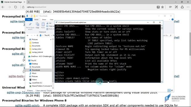 สอน SQLite: การติดตั้งและใช้งาน SQLite บน Windows смотреть онлайн