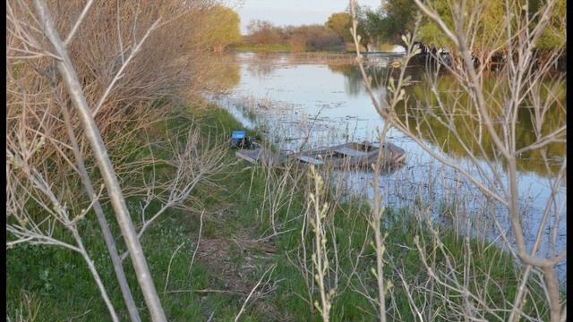 Астрахань Красный Яр БЕГЕМОТ! смотреть онлайн