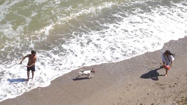 12 Most Amazing Recent Archaeological Finds смотреть онлайн