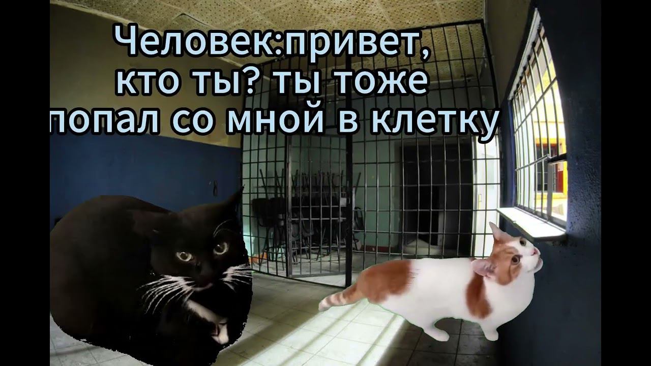 План побега✨ смотреть онлайн