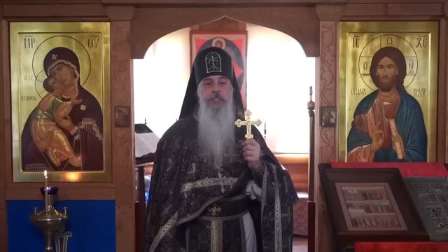 Смартфон и ГИПЕРСЕКСУАЛЬНОСТЬ!!!Схиигумен Гавриил (Виноградов-Лакербая).