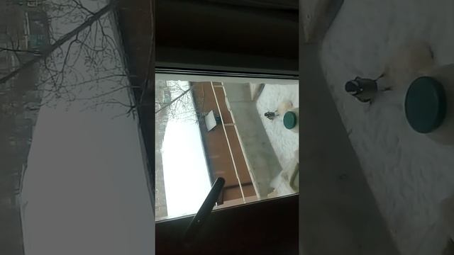 Птицы синички+++ смотреть онлайн