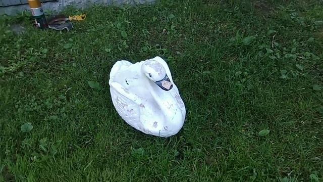 Красим белого лебедя в золотого... смотреть онлайн