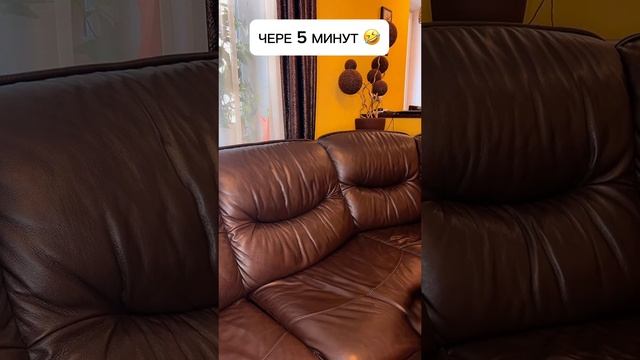 РЕШИЛ С УРОКАМИ ПОМОЧЬ ? смотреть онлайн