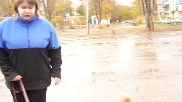 Барс и недоуздок смотреть онлайн