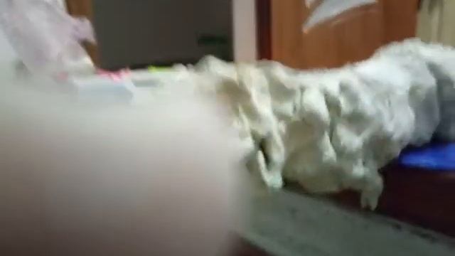 слепил альбертозавра из скульптурного пластилина смотреть онлайн