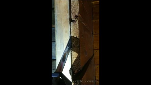 Извлечение гвоздей без повреждения дерева смотреть онлайн