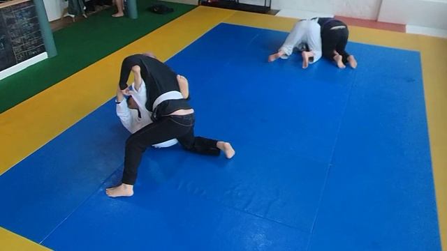 TRAINING4 11-18-23 смотреть онлайн