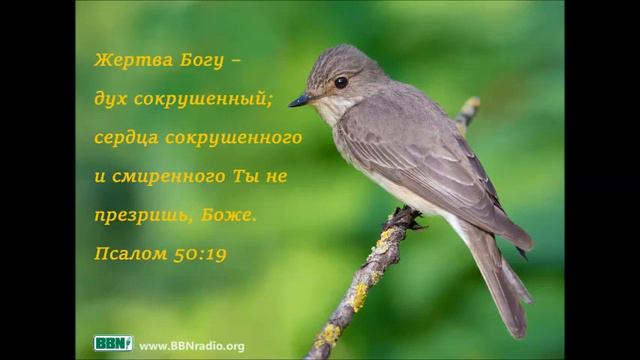 Радиопроповедь Артур Иванович - Грех есть водворившейся внутри человека закон.Ч.1 смотреть онлайн