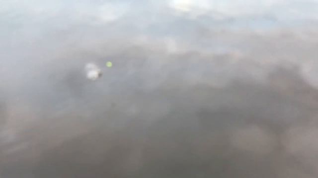 ЯМАЛЬСКИЙ ЕЛЕЦ НА ПОПЛА-ПОПЕР.БЕЛЫЕ НОЧИ НА СЕВЕРЕ. смотреть онлайн