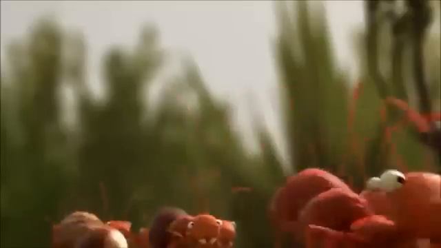 Вместе мы сила! смотреть онлайн