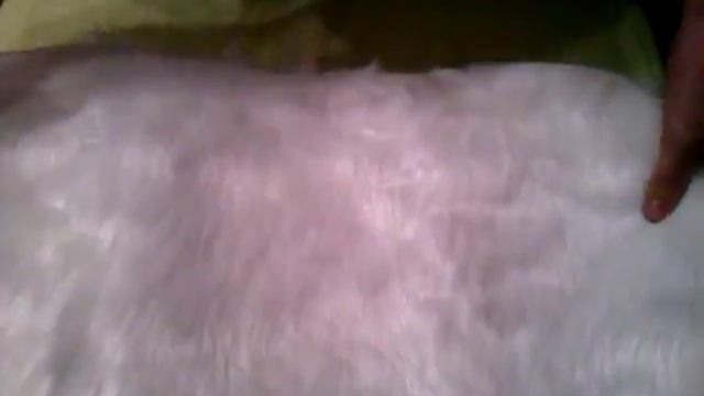 Меховая накидка для невесты смотреть онлайн