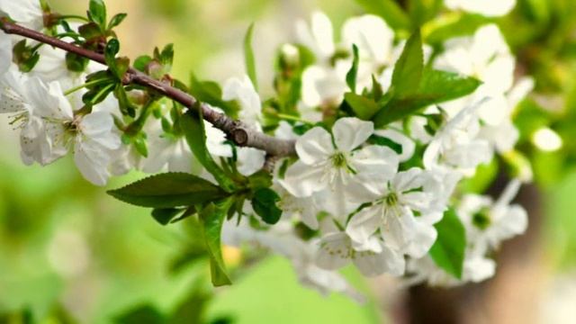 Восстановление энергетических каналов. Практика.