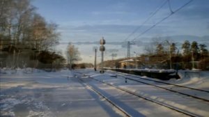 «Берёзы»  (Михаил Гулько)