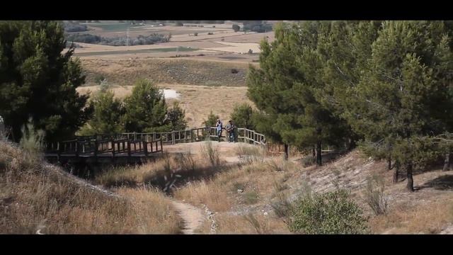 TAPS, HONOUR ALL WHO DIED COVID 19 смотреть онлайн