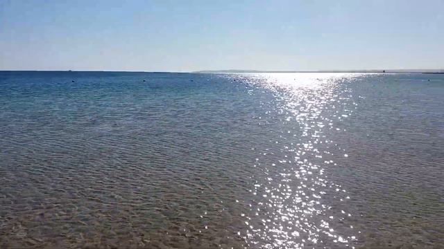 Красное море. Египет. 30.12.2016 смотреть онлайн