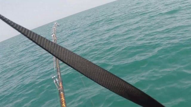 Одиночная рыбалка, трофей! смотреть онлайн