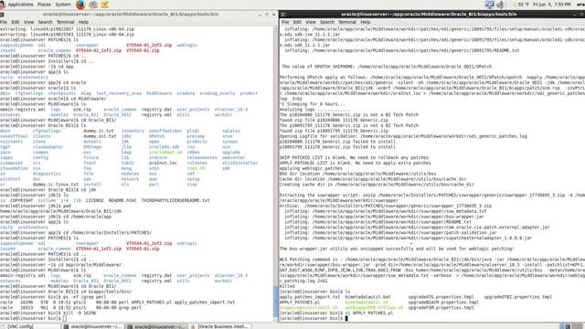 Oracle BI Apps Install 11.1.1.9.2 - Part 3 смотреть онлайн