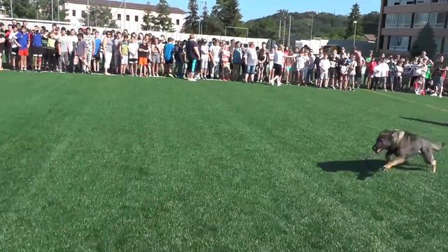 Deň detí v ZŠ Lúčna смотреть онлайн