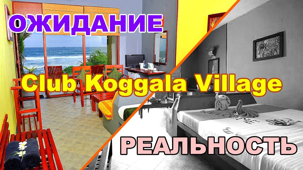 Отель Club Koggala Village / ЧЕСТНЫЙ обзор /Шри Ланка смотреть онлайн