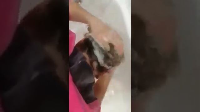 Твёрдый шампунь  